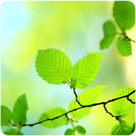 Create Design Print -  caring about the environment